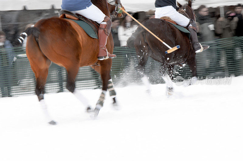 雪马球比赛中两匹马在奔跑