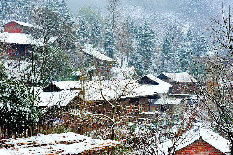 雪覆盖了整个村庄