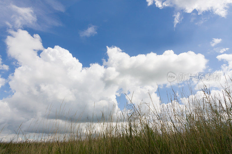 蓝天下的草原，多云的天空