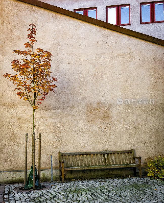 久经风霜的长凳、秋树、混凝土墙