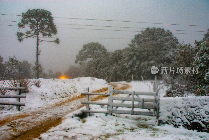 巴西圣卡塔琳娜的乌鲁比西农场被雪冻住了