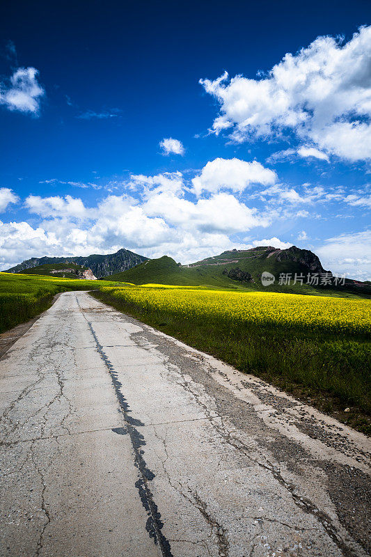 这条乡间小路穿过油菜田