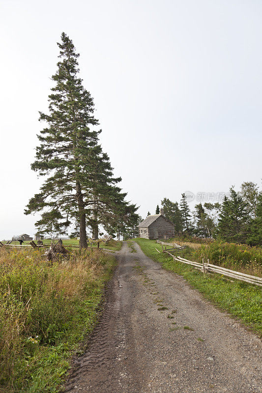 道路和小屋