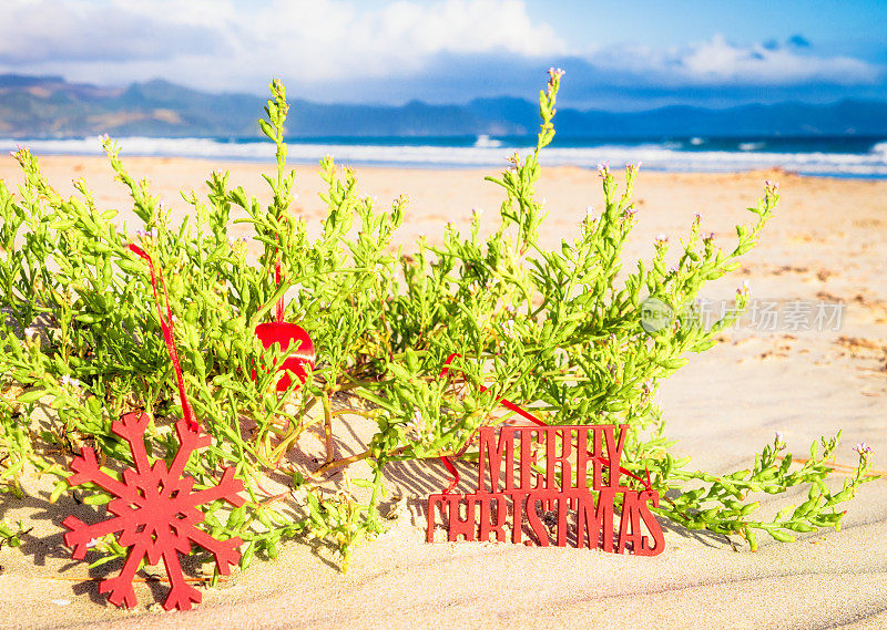 在夏日海滩上祝你圣诞快乐