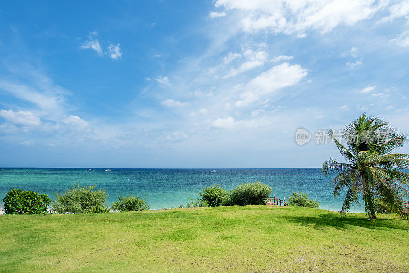 绿色草坪，热带海景