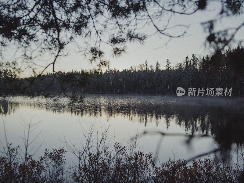 北欧斯堪的纳维亚的自然景观的寒冷照片由一个湖的冬季时间