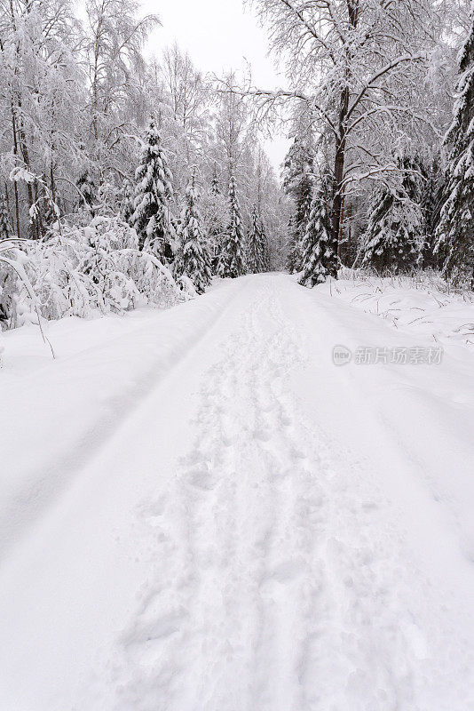 冰雪覆盖的道路穿过冬天的森林