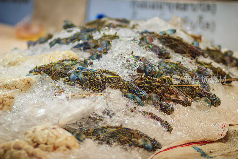 特大号的梭子蟹，也被称为花蟹、蓝蟹或沙蟹，印度尼西亚语为拉戎干，他加禄语为alimasag。出售青蟹。