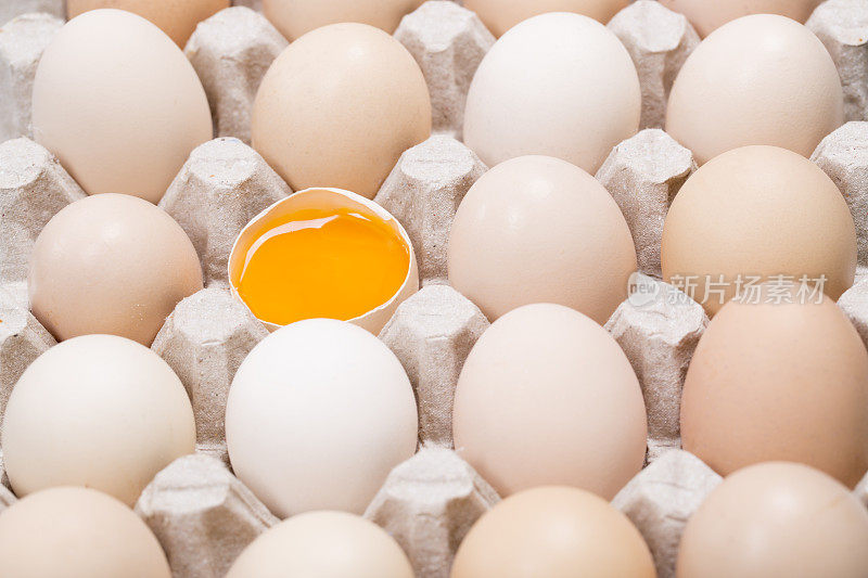 鸡蛋和蛋黄