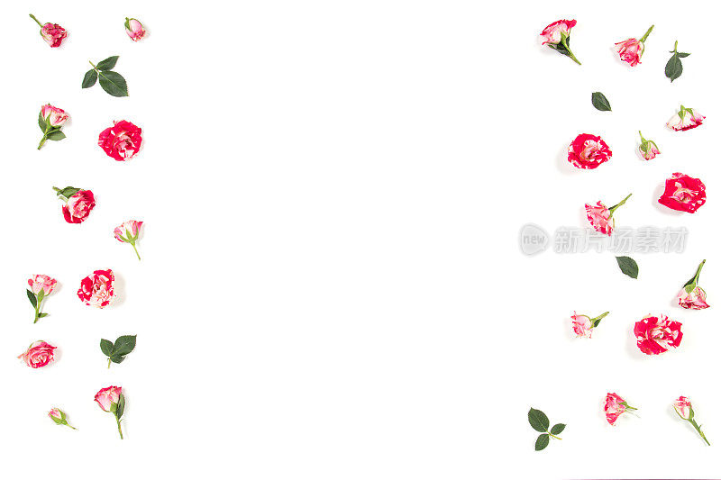 花组成。玫瑰花架。平躺，俯视图