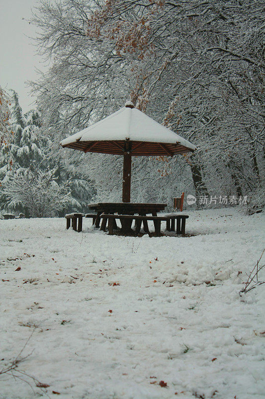 贝尔格莱德冬天的雪景