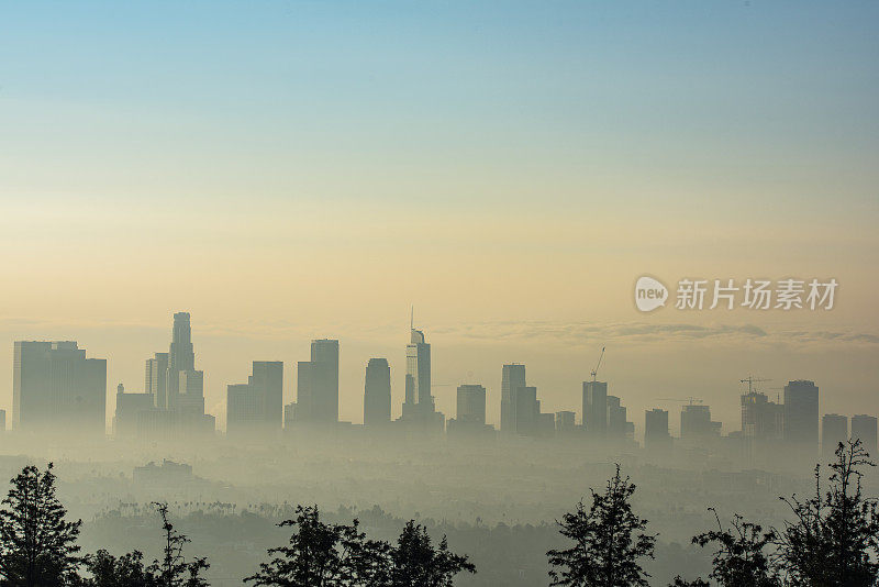 黎明时分的洛杉矶天际线