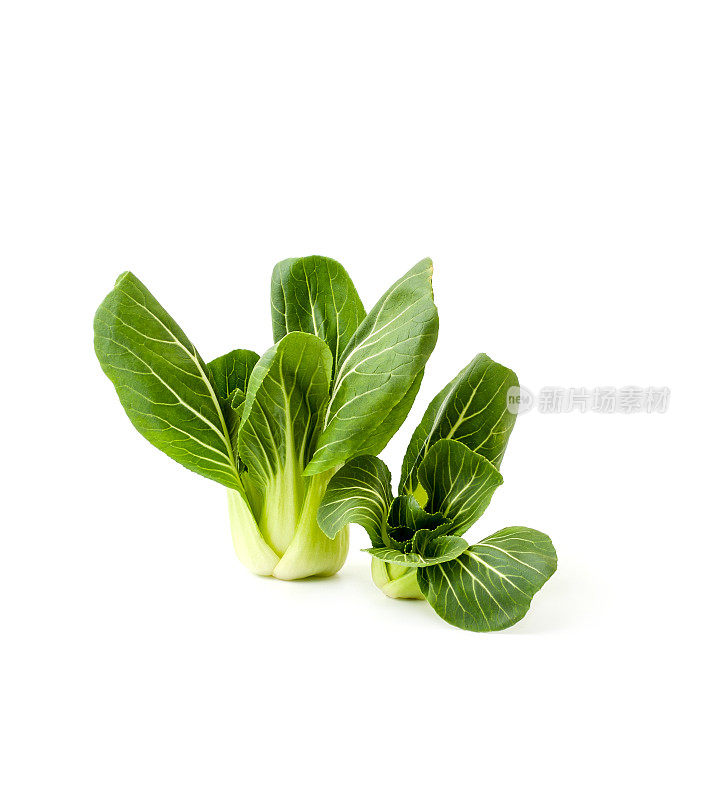 新鲜的绿色沙拉白菜(中国卷心菜)在一个干净的白色背景。孤立。