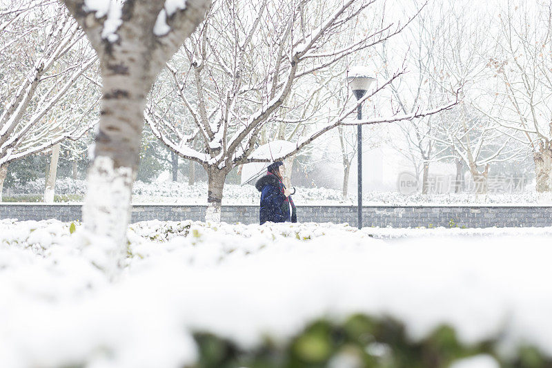 带着伞在雪中行走的女人