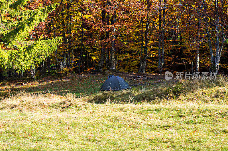 森林里的一个旅游帐篷。秋天的森林。