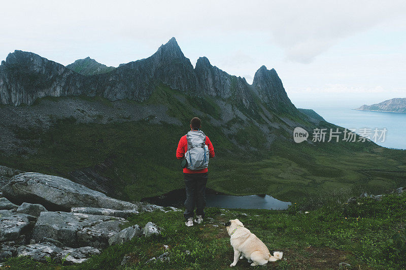 人们和狗在挪威北部的山上徒步旅行