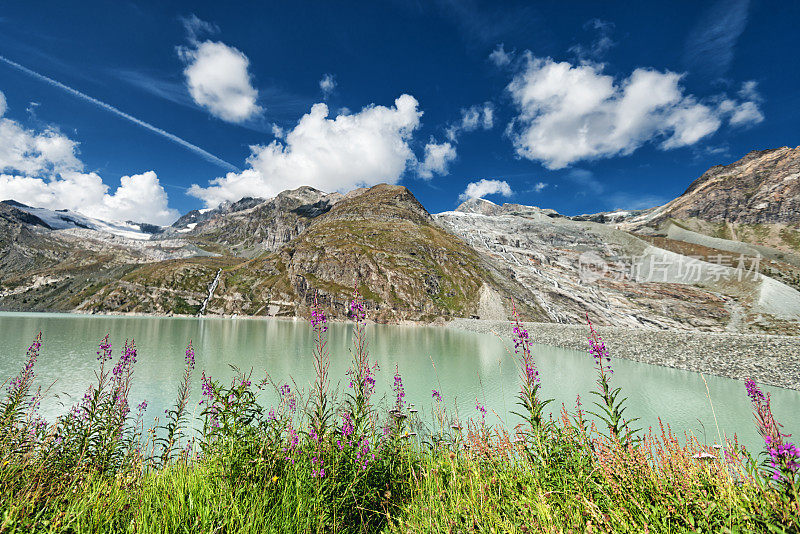 马特马克湖(Mattmarksee)，以鲜花和阿拉林冰川为背景