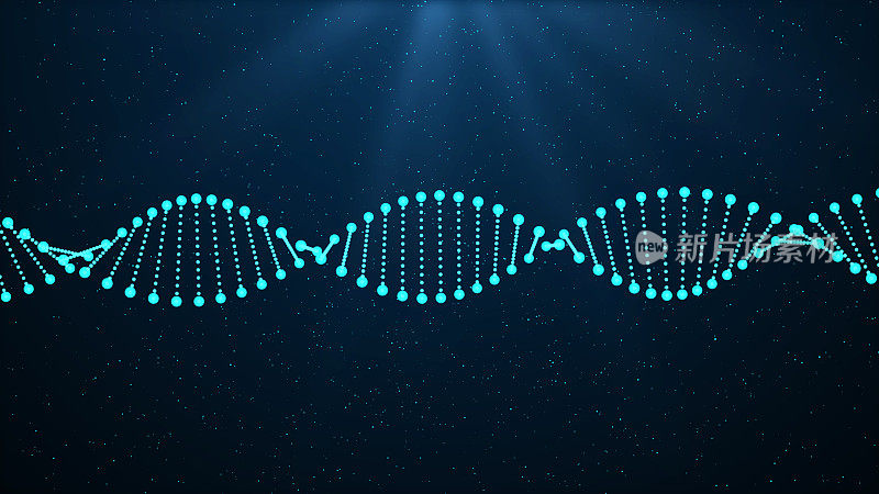 DNA序列，发光的DNA编码结构