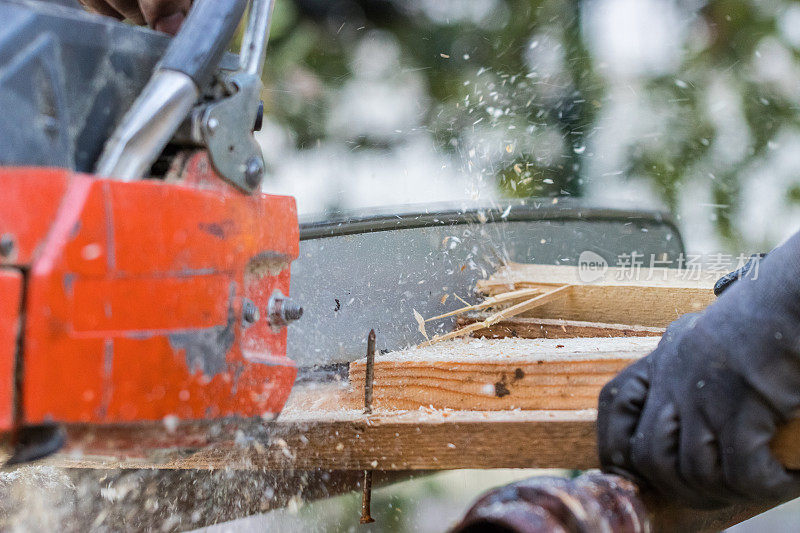 专业的伐木工人切割