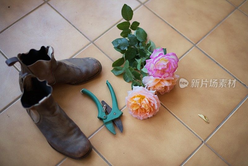 园艺靴，修剪剪和玫瑰