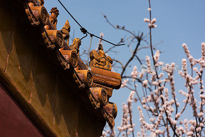 春天北京紫禁城