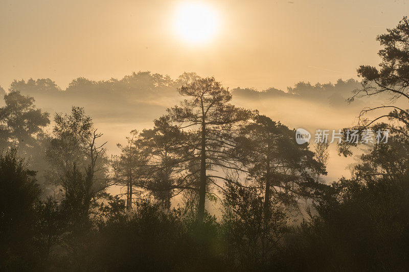 雾希思场景