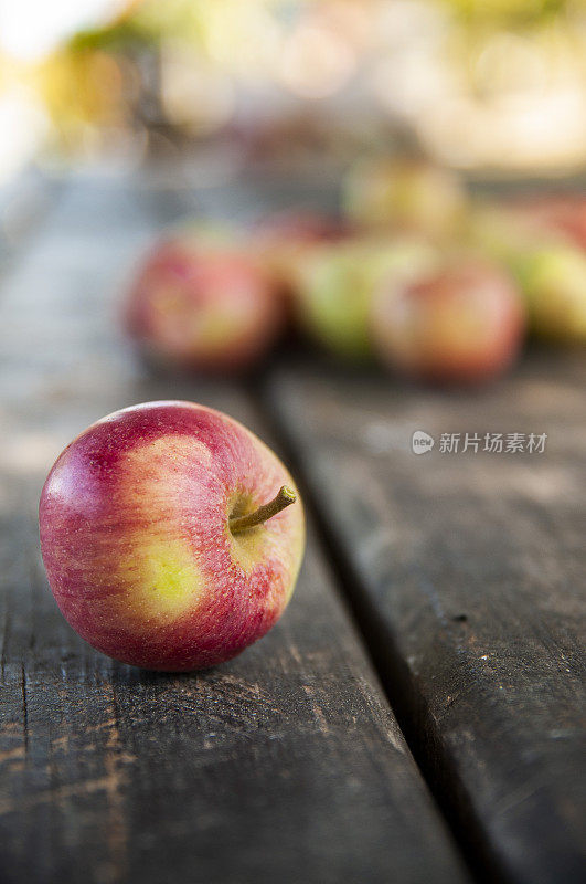 秋天旧木桌上的苹果