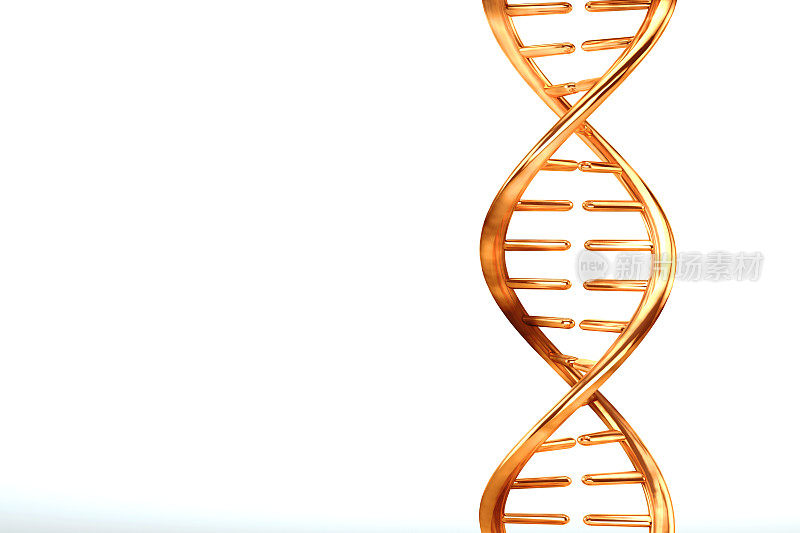 白色背景上分离出的金金属DNA