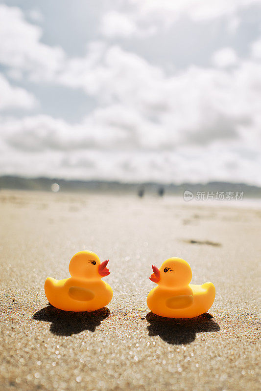 概念浪漫，两只橡皮鸭在海滩度假。