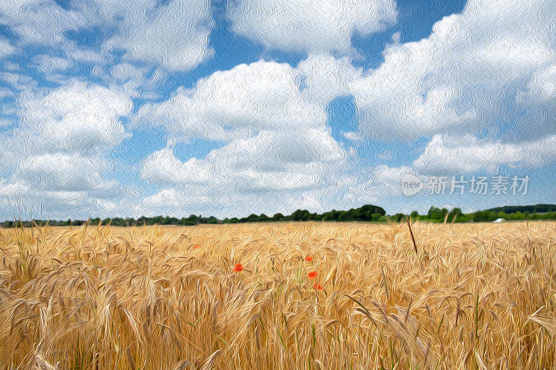 大麦和罂粟花