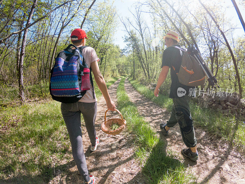 成年兄妹在森林里徒步旅行