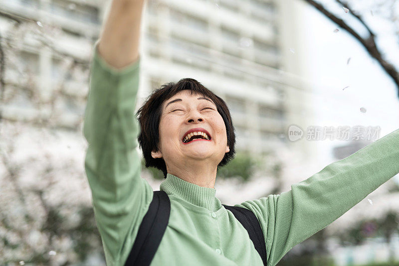 快乐的老女人和樱花