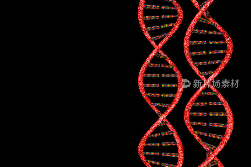 dna分子生物化学的概念