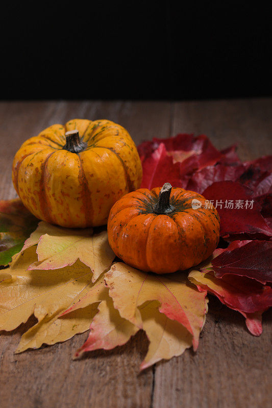 秋天的静物，南瓜和彩色的干树叶在木板上