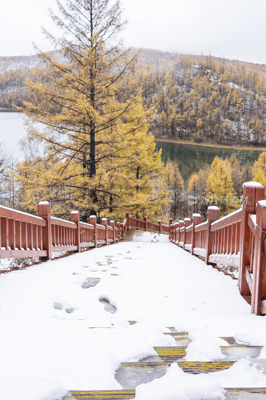 湖边树林里的木质楼梯上覆盖着积雪和脚印