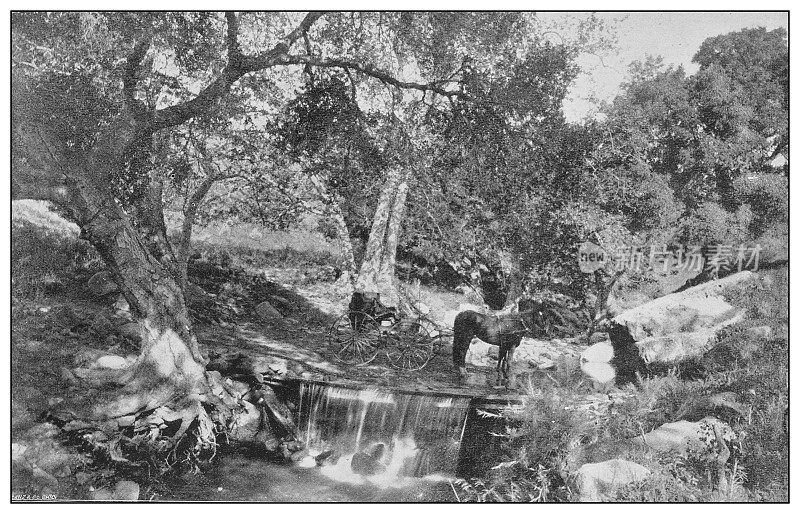 美国古董黑白照片:加维奥塔通行证溪