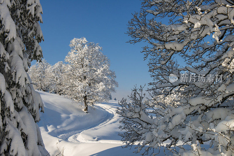 冬天的风景有一条白雪覆盖的山路