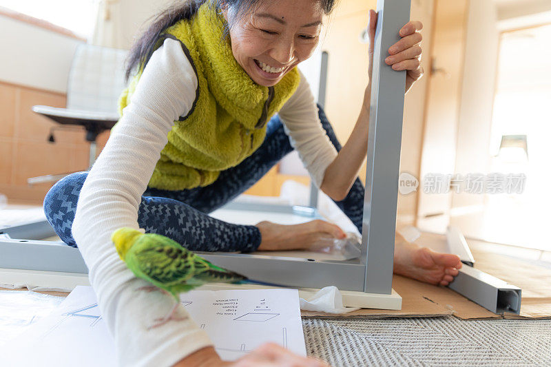 日本妇女在家办公与宠物