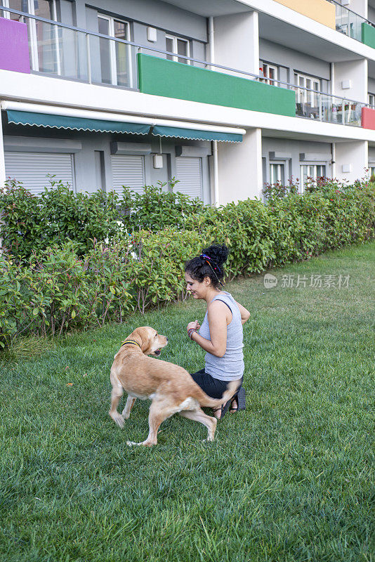 金毛猎犬和它的主人在草地上玩耍