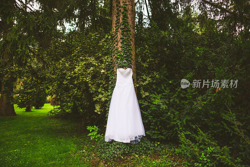 挂在树上的婚纱