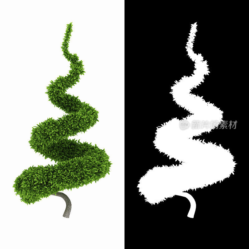 3D渲染螺旋形状绿色灌木孤立的白色背景alpha通道