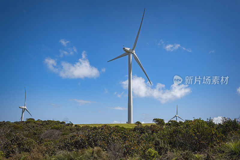 海岸风力发电场