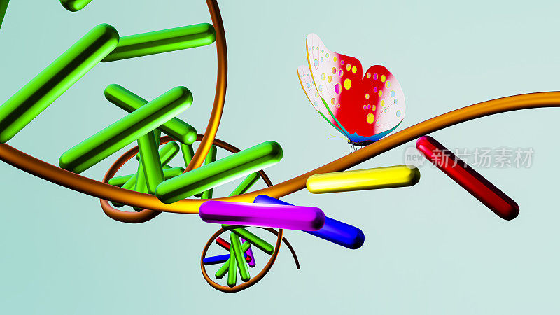 DNA和转基因蝴蝶