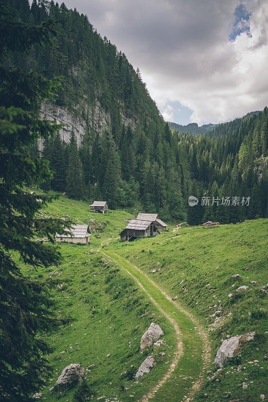 农田附近农舍的风景