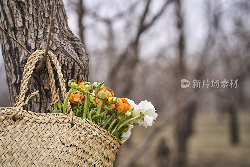 花篮里的野花，挂在树林里的树上