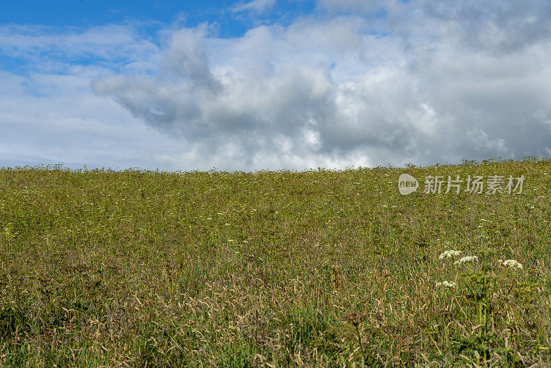 康沃尔海岸