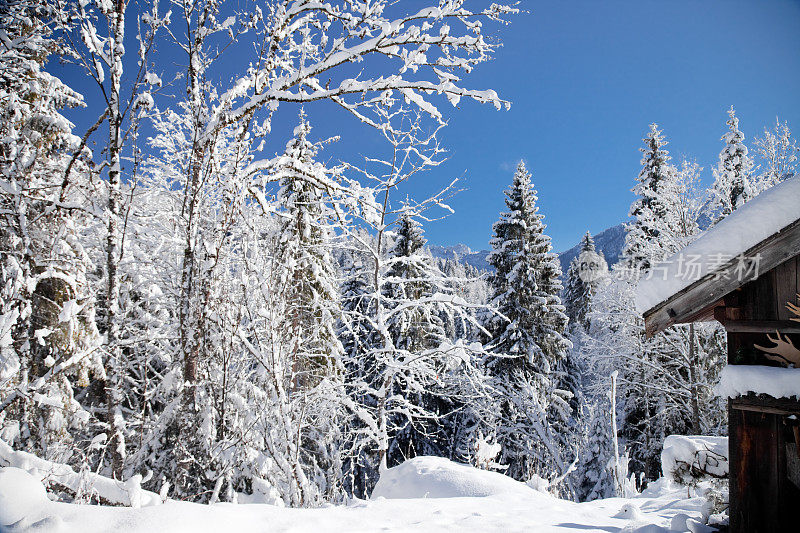 白雪皑皑的山峰