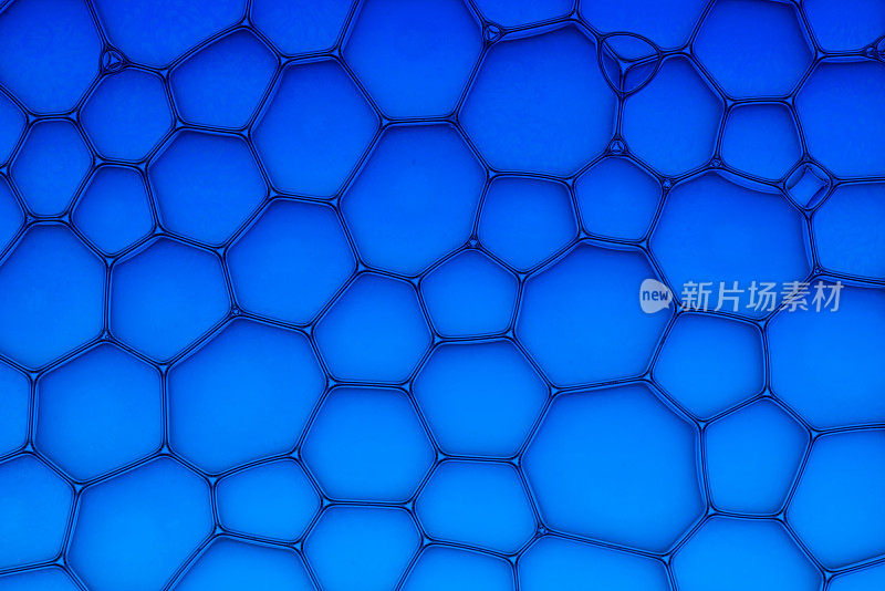 蓝色的细胞结构