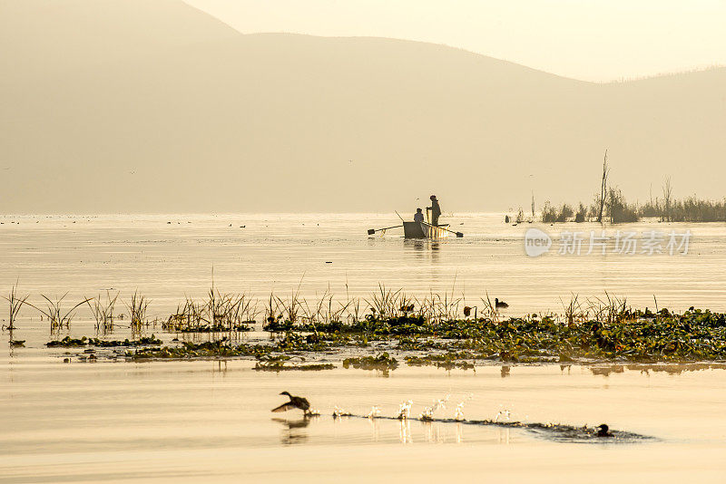 中国云南省，雾蒙蒙的早晨，湖面上的渔船和水鸟