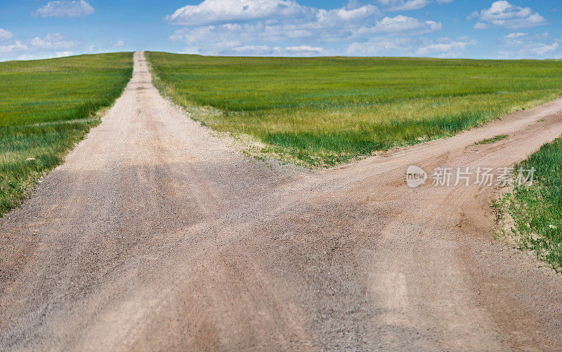 穿过绿色草地的岔路口